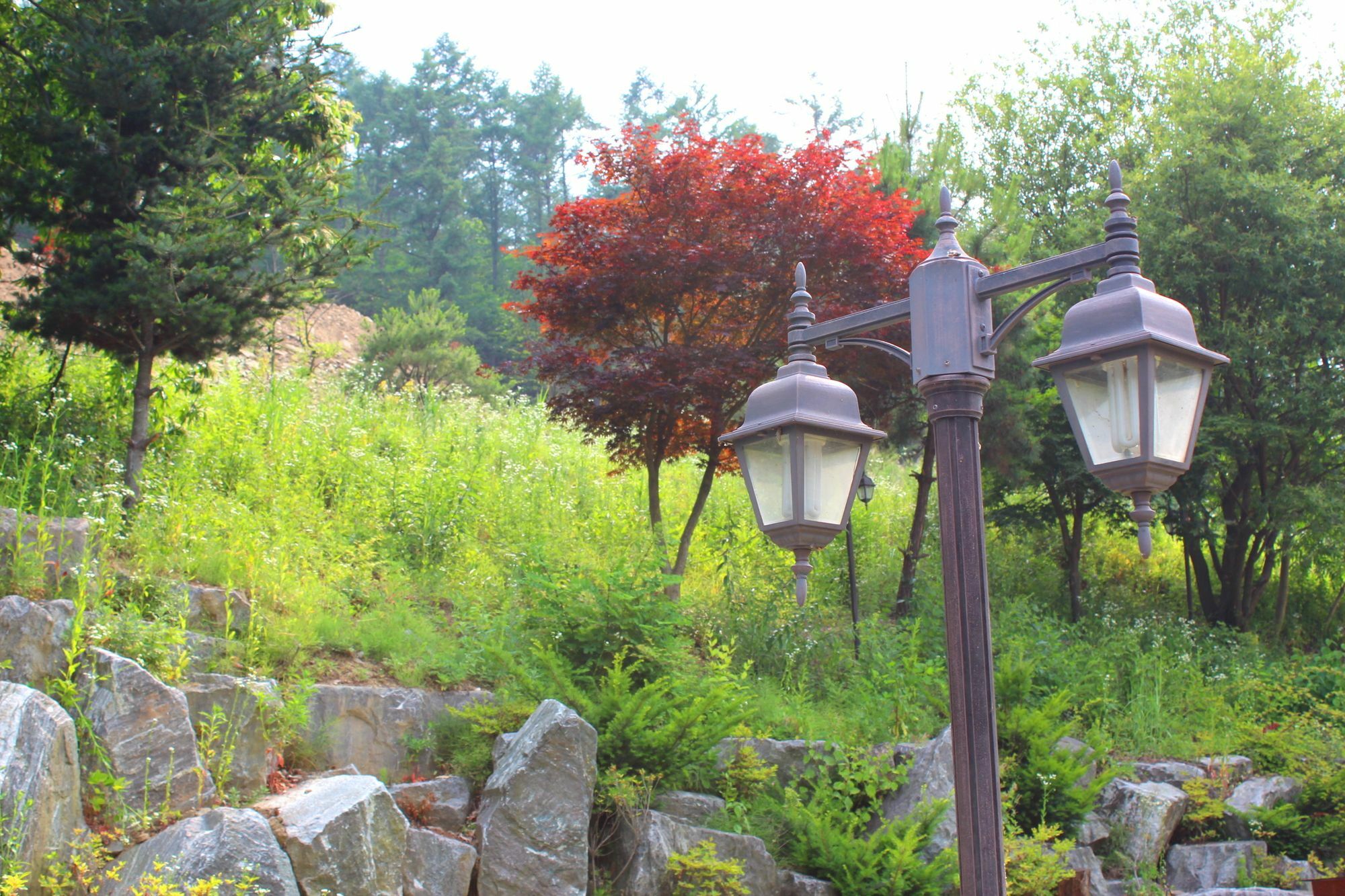 Time Story Villa Yangpyeong Ngoại thất bức ảnh